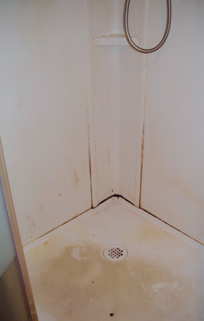 Aftermath of toilet backing up into shower